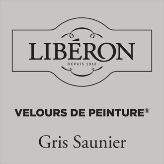 Velours De Peinture Muurverf - Mat - Gris Saunier - 0,125l