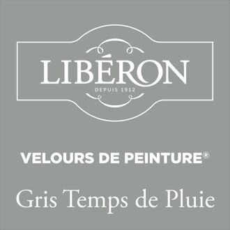 Velours De Peinture Muurverf - Mat - Gris Temps De Pluie - 0,5l