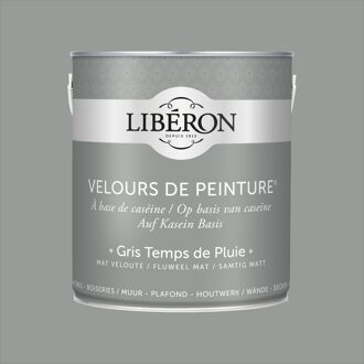 Velours De Peinture Muurverf - Mat - Gris Temps De Pluie - 2,5l