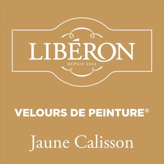 Velours De Peinture Muurverf - Mat - Jaune Calisson - 0,125l