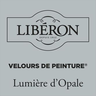 Velours De Peinture Muurverf - Mat - Lumière D’opale - 0,125l