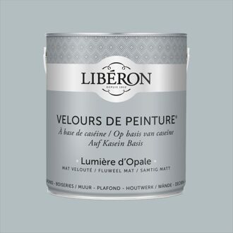 Velours De Peinture Muurverf - Mat - Lumière D’opale - 2,5l