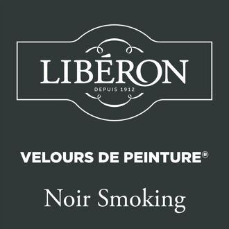 Velours De Peinture Muurverf - Mat - Noir Smoking - 0,5l