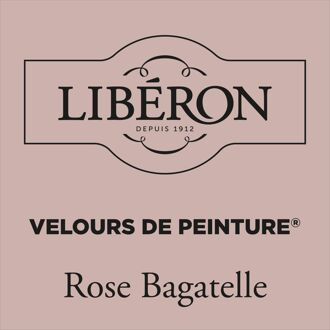 Velours De Peinture Muurverf - Mat - Rose Bagatelle - 0,5l