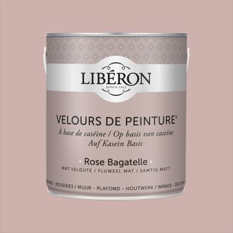 Velours De Peinture Muurverf - Mat - Rose Bagatelle - 2,5l