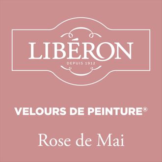 Velours De Peinture Muurverf - Mat - Rose De Mai - 0,125l