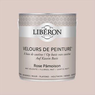 Velours De Peinture Muurverf - Mat - Rose Pamoison - 2,5l