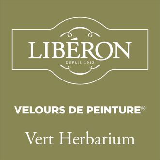 Velours De Peinture Muurverf - Mat - Vert Herbarium - 0,125l