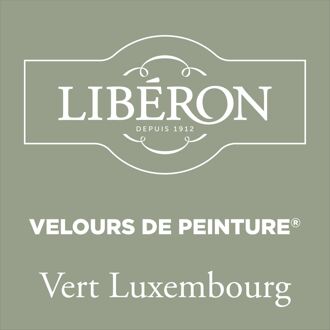 Velours De Peinture Muurverf - Mat - Vert Luxembourg - 2,5l