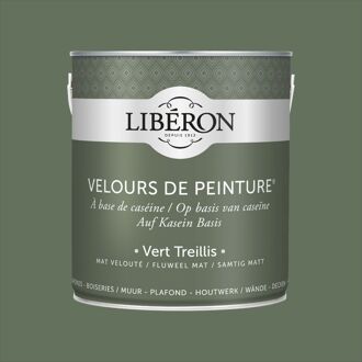 Velours De Peinture Muurverf - Mat - Vert Treillis - 2,5l