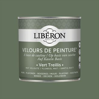 Velours De Peinture Muurverf - Mat - Vert Treillis - 500ml