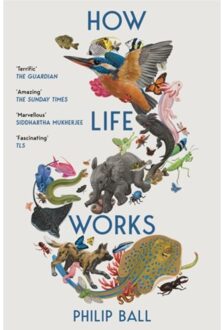 Veltman Distributie Import Books How Life Works - Philip Ball