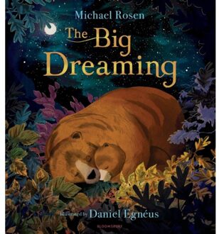 Veltman Distributie Import Books The Big Dreaming - Michael Rosen