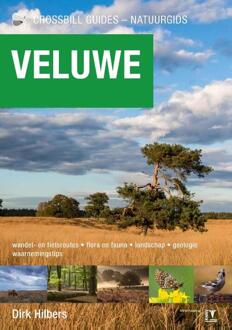Veluwe - Crossbill Guides - Dirk Hilbers