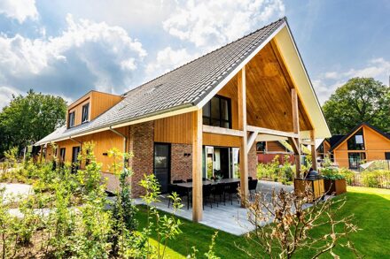 Veluwe Villa wellness - 12 personen