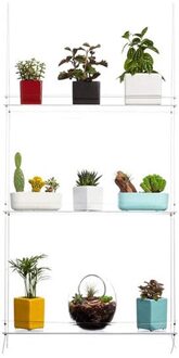 Venster Fabriek Plank Opknoping Plank Plant Planken Plant Decoratieve Bloem Pot Rack Voor Tuin Indoor Opslag RERI889