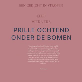 Vensterlicht - ELLE WERNERS