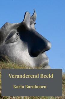 Veranderend Beeld -  Karin Barnhoorn (ISBN: 9789403737362)