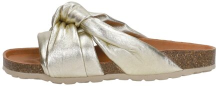 Verbenas Rainbow Goudkleur - 36