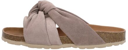 Verbenas Rainbow Taupe - 40