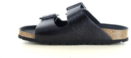 Verbenas Randell Zwart - 41