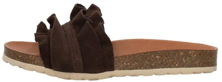 Verbenas Rocio Donkerbruin - 40