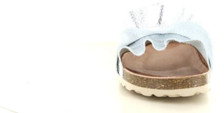 Verbenas Rocio Zilver - 38