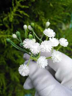 Verborgen Botanics Een Set Van 6 Gypsophila Haarspelden, Haar Bloemen Hettie Gypsophila Bruiloft Haar Pin