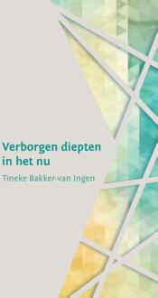 Verborgen diepten in het nu - Boek Tineke Bakker-van Ingen (9492421097)