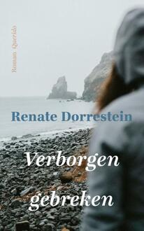 Verborgen gebreken -  Renate Dorrestein (ISBN: 9789025320645)