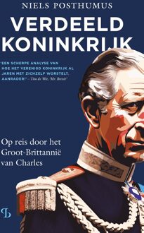 Verdeeld Koninkrijk - Niels Posthumus - ebook