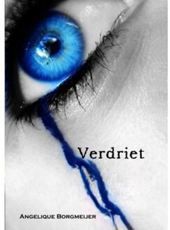 Verdriet - Boek Angelique Borgmeijer (9402130632)