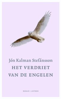 Verdriet van de engelen - eBook Jón Kalman Stefánsson (9041421378)
