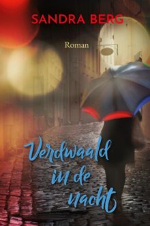 Verdwaald in de nacht - Sandra Berg - ebook