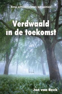 Verdwaald in de toekomst -  Jan van Beek (ISBN: 9789462667372)