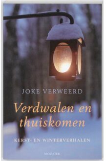 Verdwalen en thuiskomen - Boek Joke Verweerd (9023993047)