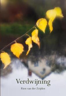 Verdwijning - Boek Rien van der Zeijden (9463650059)