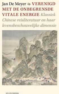 Verenigd met de onbegrensde vitale energie -  Jan de Meyer (ISBN: 9789493013087)