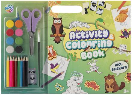Verf-en activiteitenboek + stickers