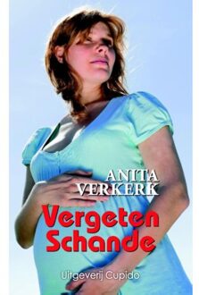 Vergeten schande - Boek Anita Verkerk (9462042012)