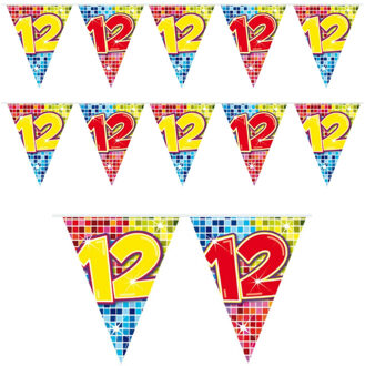 Verjaardag 12 jaar mini vlaggenlijn - 2x - 300 cm - papier - versiering
