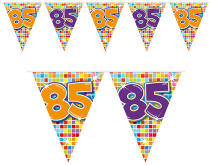 Verjaardag 85 jaar mini vlaggenlijn - 300 cm - papier - versiering Multi