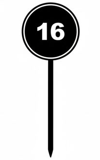 Verjaardagsfeest leeftijd cocktailprikkers - 16 jaar - 12x - thema stopbord zwart - sweet sixteen