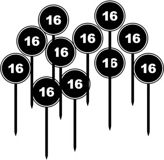 Verjaardagsfeest leeftijd cocktailprikkers - 16 jaar - 48x - thema stopbord zwart - sweet sixteen