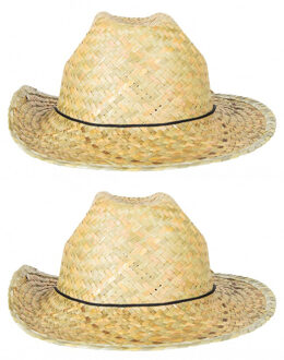 Verkleed hoedje voor Tropical Hawaii Beach party - 2x - Stro hoed - volwassenen - Carnaval