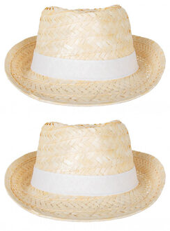 Verkleed hoedje voor Tropical Hawaii Beach party - 2x - Stro hoed - volwassenen - Carnaval