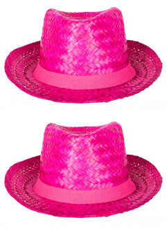 Verkleed hoedje voor Tropical Hawaii Beach party - 2x - Stro hoed - volwassenen - Carnaval