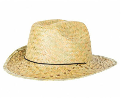 Verkleed hoedje voor Tropical Hawaii Beach party - Stro hoed - volwassenen - Carnaval