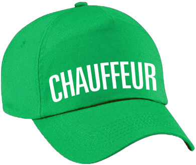 Verkleed pet voor volwassenen - chauffeur - groen - taxi - vrachtwagen