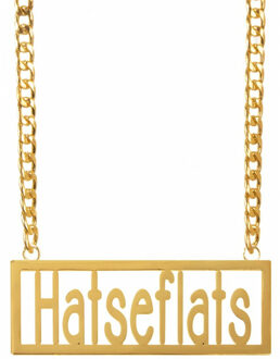 Verkleed sieraden ketting - thema Hatseflats - feestartikelen - goudkleurig - Verkleedsieraden